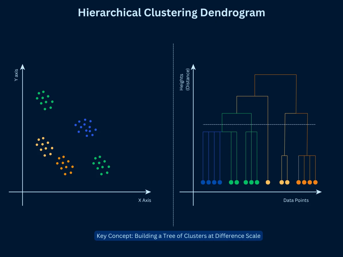 Hierarchical clustering dendrogram showing scatter plot data points on the left and tree diagram on the right, with individual points as leaves merging upward into clusters, a horizontal cut line showing 3 final clusters, and branches color-coded by cluster assignment