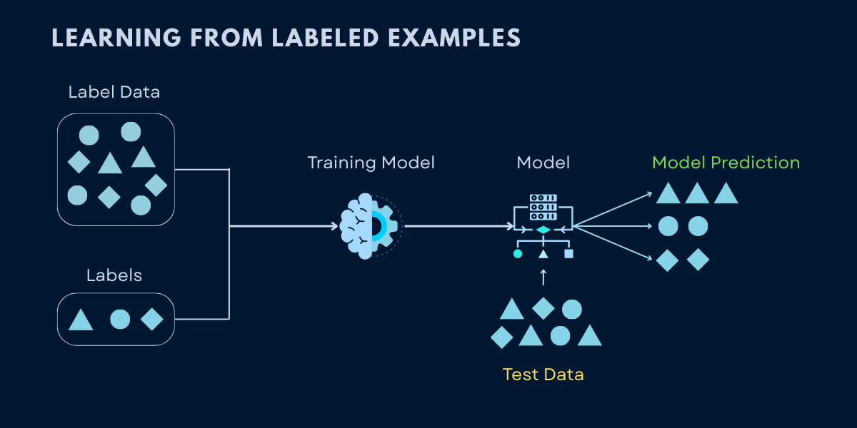 Supervised Learning Explained: Classification and Regression
