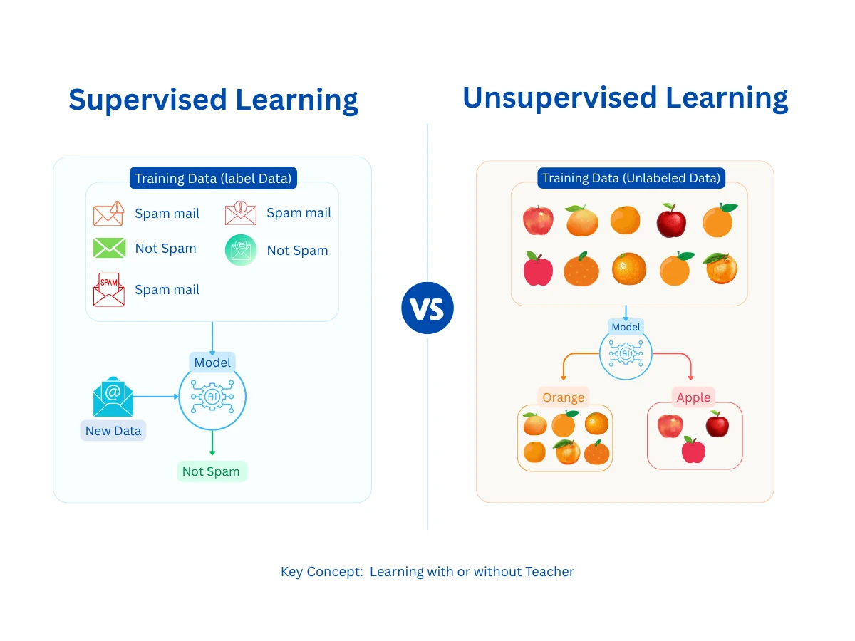 Side-by-side comparison of supervised vs unsupervised learning: supervised learning uses labeled training data with known outcomes while unsupervised learning discovers hidden patterns in unlabeled data