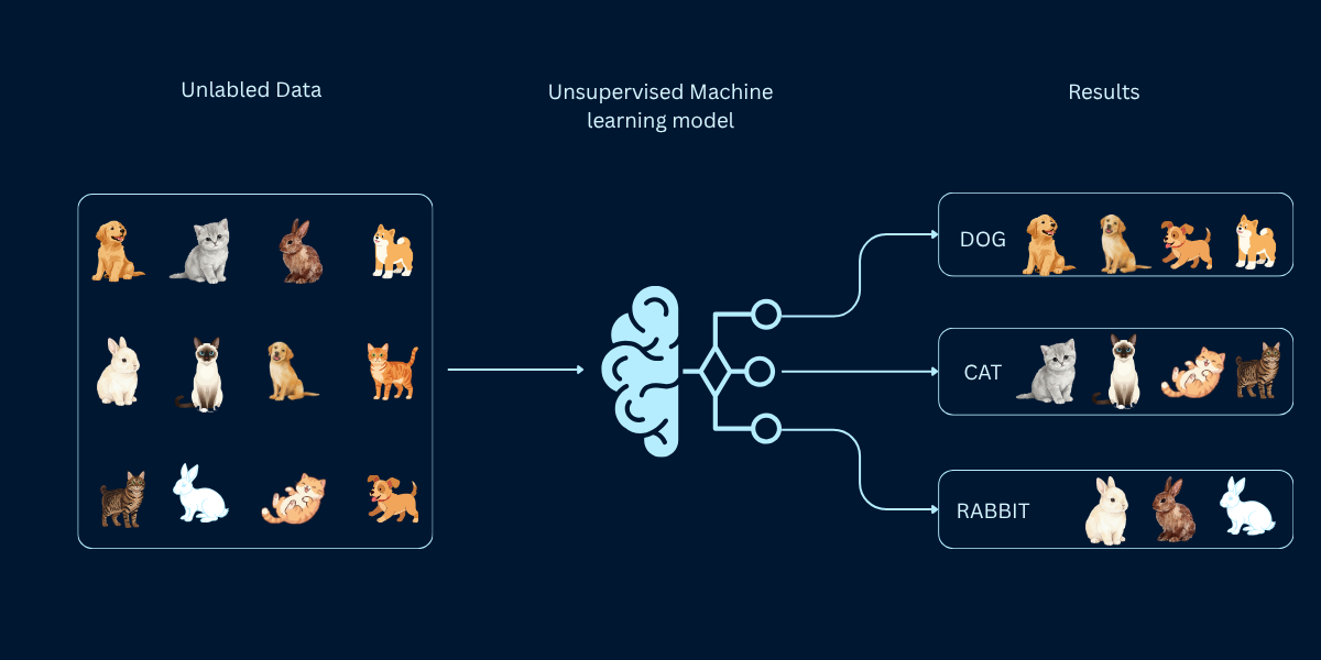 Unsupervised Learning Fundamentals